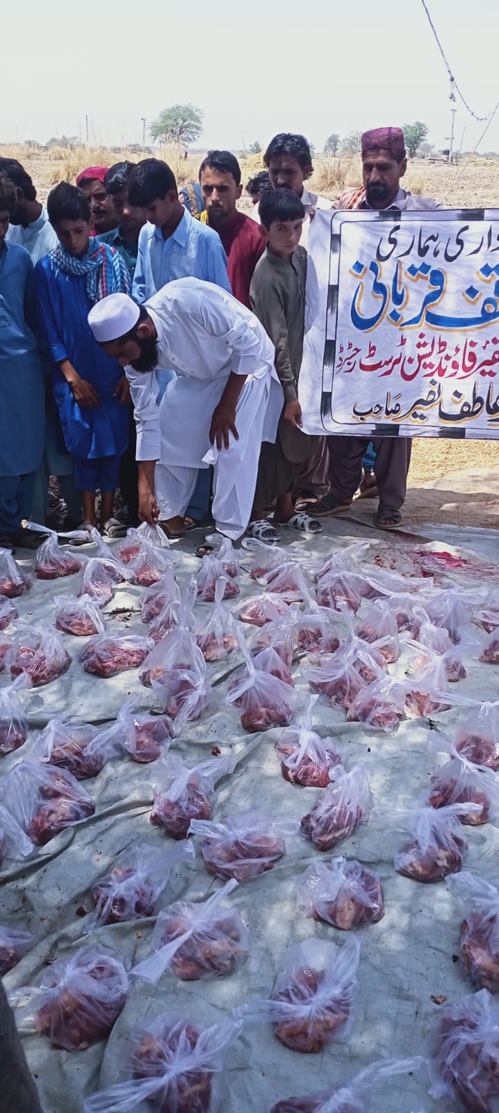 Impact Photo other-26